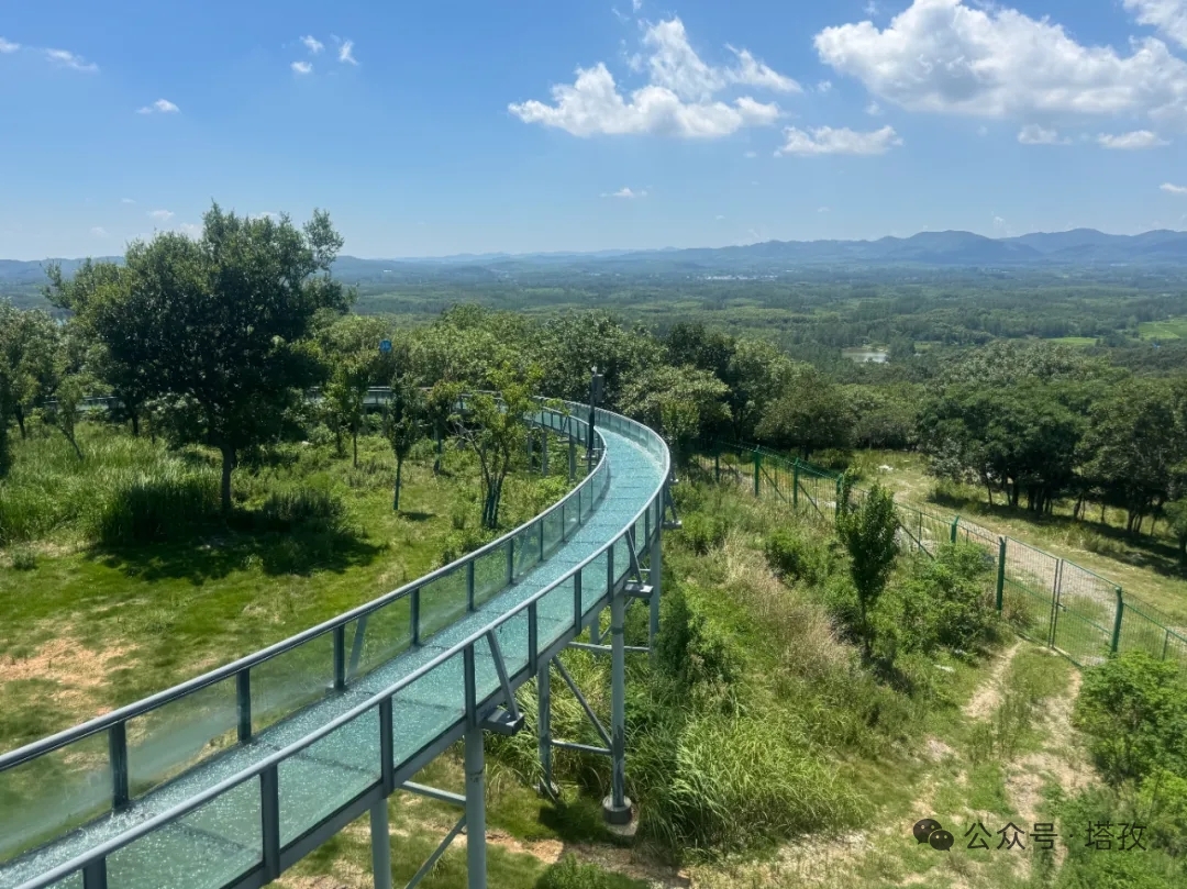 琅琊山森林漂流.jpg